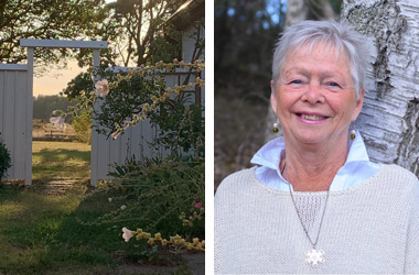 Monica Cederholm. Diplomerad och auktoriserad Gestaltterapeut, Familjekonstellatör och Handledare